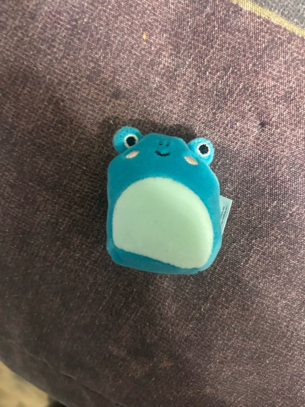 Squashmello - Picture 10 of 16